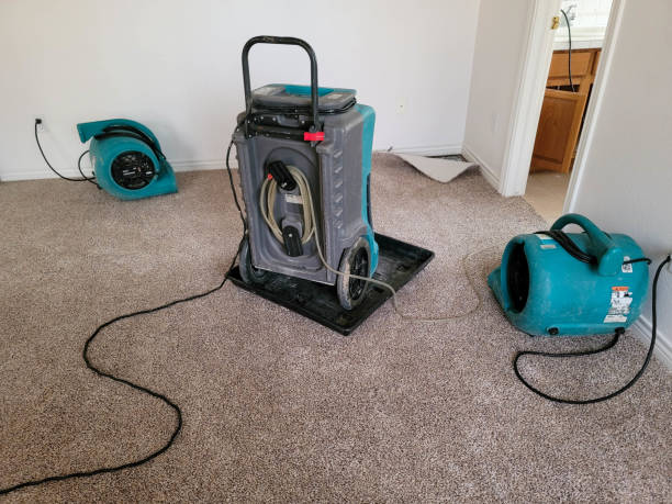 Best 24/7 water damage repair  in Pen Argyl, PA