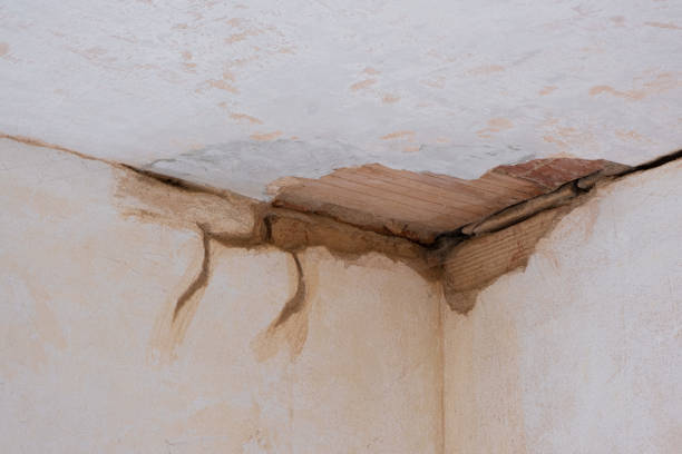 Best Local water damage restoration  in Pen Argyl, PA