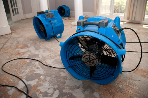 Best Sewage cleanup and water damage restoration  in Pen Argyl, PA