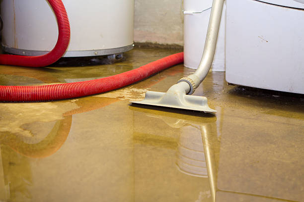 Best Flood damage cleanup  in Pen Argyl, PA