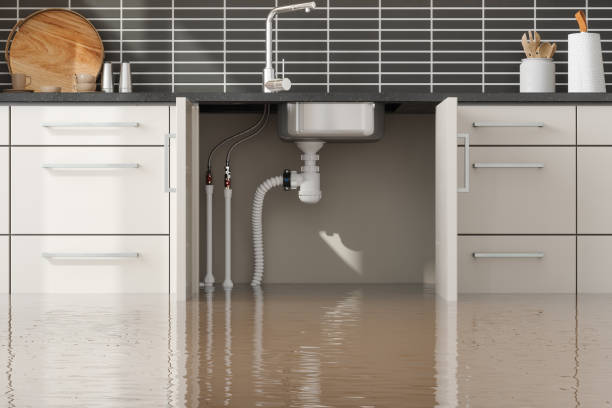 Best Basement water damage restoration  in Pen Argyl, PA